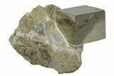 Natural Pyrite Cube In Rock - Navajun, Spain #168450-1